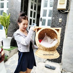 Water Hyacinth Handmade woven Pet House