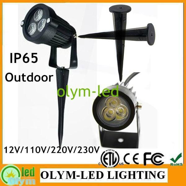 3W LED Garden Lawn Light with Spike Outdoor 12V 110V/220V White/RGB IP65