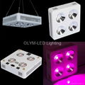 LED Plant Light 200W 400W 800W Grow Light Lamp Full Spectrum 3