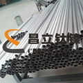 seamlessTitanium Tube for heat exchanger