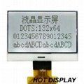  COG  Graphic  LCD  Module HTG12864C 2