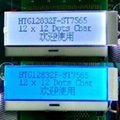 COG  Graphic  LCD  Module HTG12832