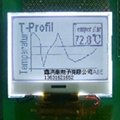  COG  Graphic  LCD  Module HTG12848 2