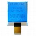  COG  Graphic  LCD  Module HTG12848 3