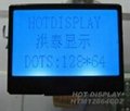  COG  Graphic  LCD  Module HTG12848 4