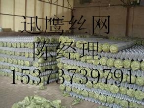 黑龙江梅河口煤矿护帮勾花网 5