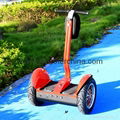 China Segway 2 Wheel Stand up Electric Scooter 3