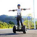 China Segway 2 Wheel Stand up Electric Chariot 4