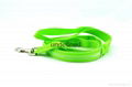 led dog leash 2