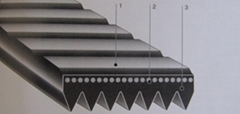 聚氨酯V肋形带