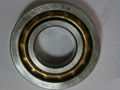 NSK E15 Copper Paul Magneto Bearing E10 E12 E20 motor bearing 2