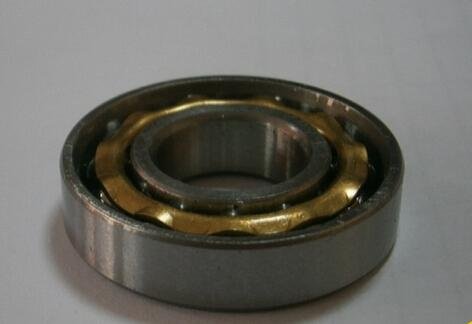 NSK E15 Copper Paul Magneto Bearing E10 E12 E20 motor bearing 3