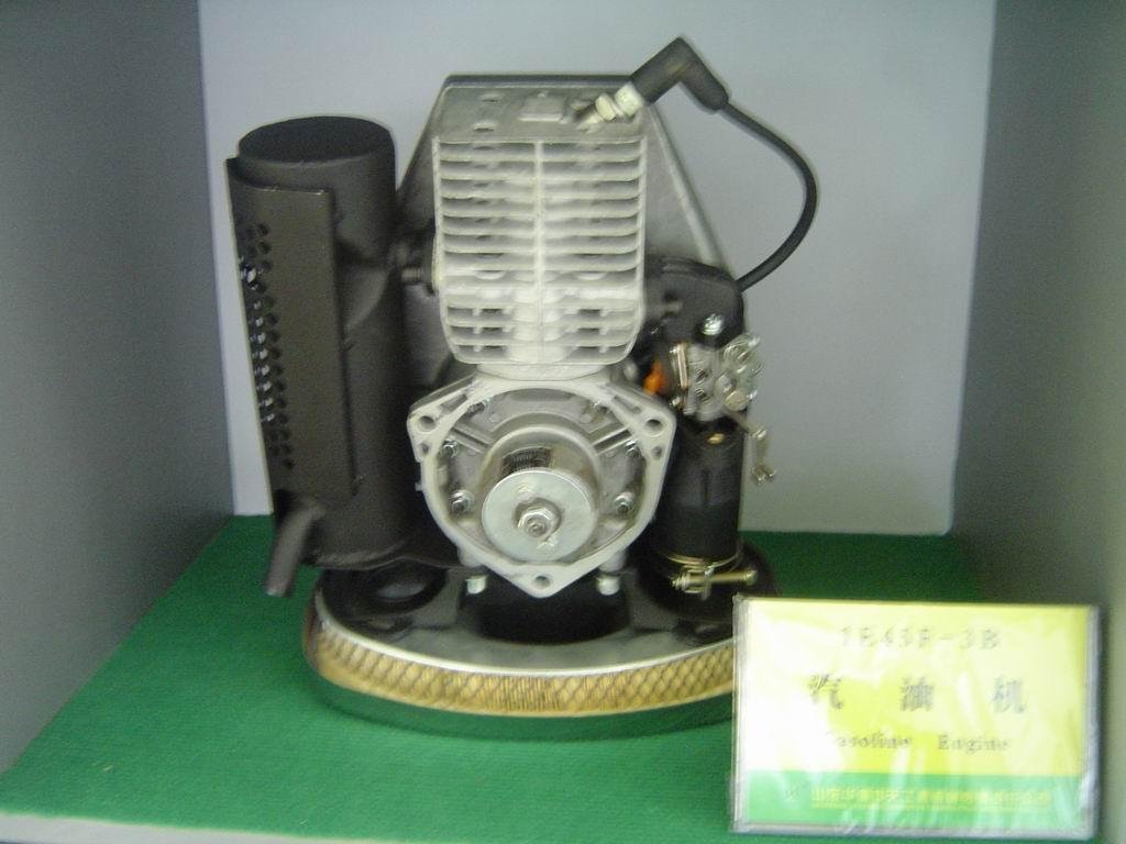 2-stroke  Air-cooledGasoline engine model 1E45F-3B 4
