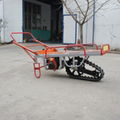 Motor barrow with single pedrail cart 4