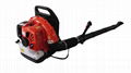 Euro 5Mission Standard leaf blower large