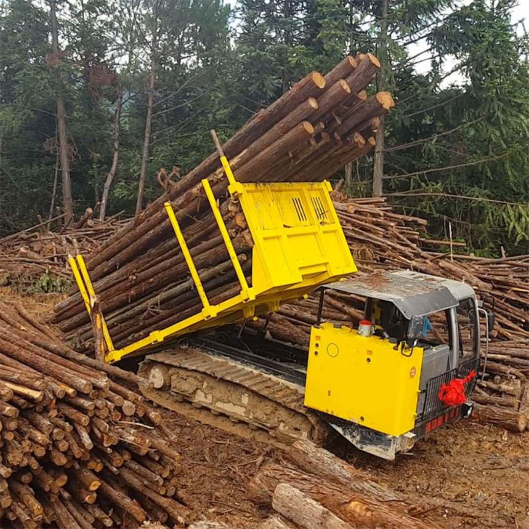 Multi-function wood truck transporter 2