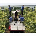 Garden self-walking truck  Orchard Bagging Picking Lifting Platform 3