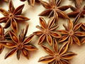 Star Anise 1