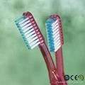 PP Handle Toothbrush for Hotel with High Quality 4