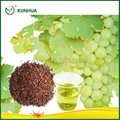 Grape Seed Oil 1