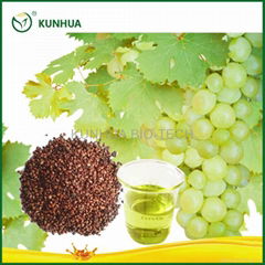 Grape Seed Oil