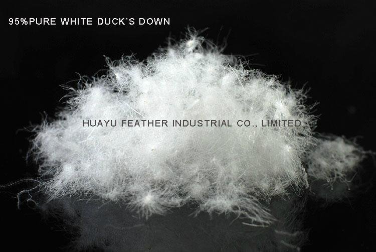 95% Pure White Duck’s Down