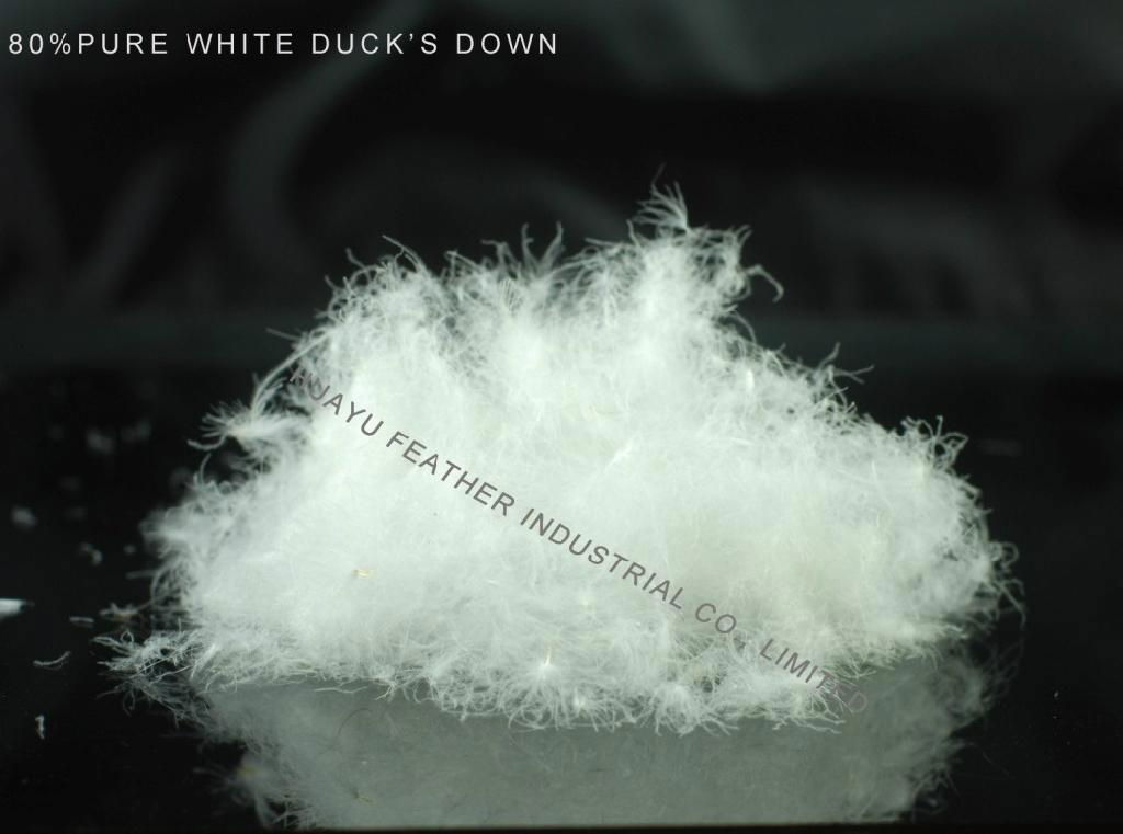 80% Pure White Duck’s Down