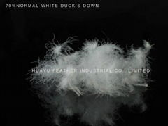 70% Normal White Duck’s Down