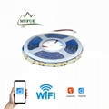 240LED  CCT  led strip light DC12V/24V 4