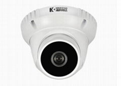 Megapixel Array LED 30m Network Dome Camera