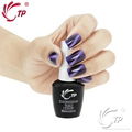 MAGNET NAIL GEL POLISH 1