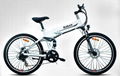 Electric Bike 1