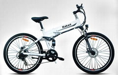 Electric Bike