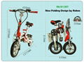 Electric Folding Bike