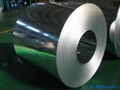 Galvanized steel coil 1