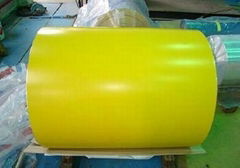 TDX-51D Prepainted steel sheet coil