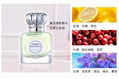 Cosmetics, Customize Michaelcoco Brand Perfume 3