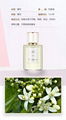 New Arrival Glass Bottle Fragrance for Female  5