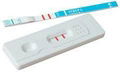 One Step Strep A Rapid Test Kit for the diagnosis of Strep A 1