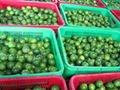 Fresh Seedless Lime from Viet Nam 4