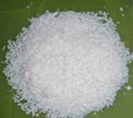 Desiccated Coconut from Viet Nam 1