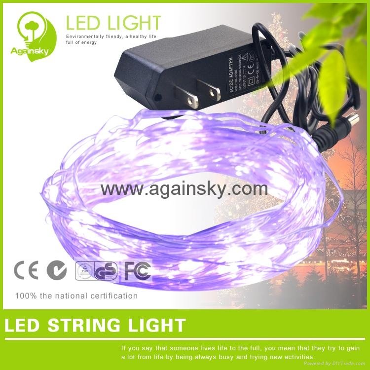 12V waterproof Silver wire LED String for Holiday Decoration