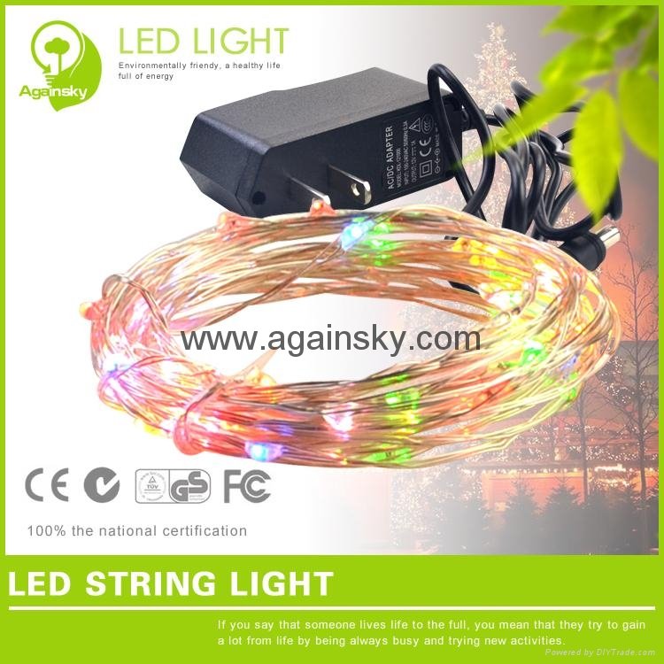 12V waterproof Silver wire LED String for Holiday Decoration 3