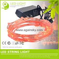 12V waterproof Silver wire LED String for Holiday Decoration 4