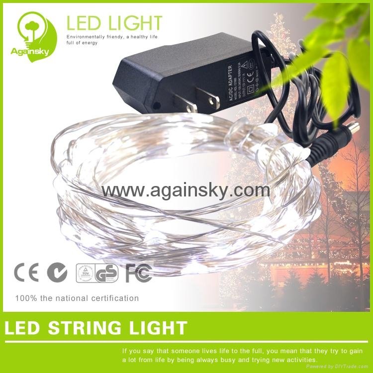 12V waterproof Silver wire LED String for Holiday Decoration 5