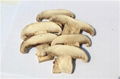 DRIED MUSHROOM 1