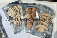 DRIED MUSHROOM