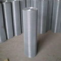 Galvanized Welded Wire Mesh 1