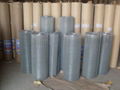 Galvanized Welded Wire Mesh 2