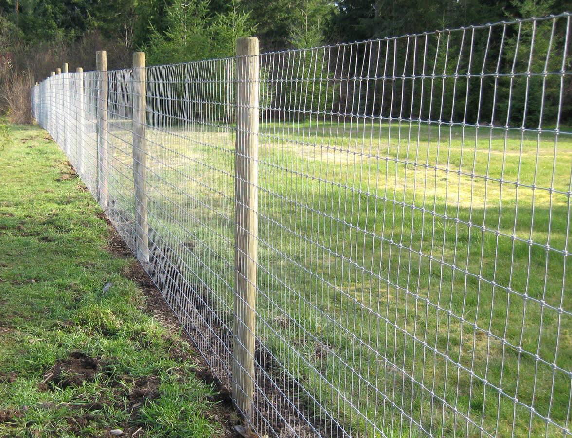 Grassland Garden Cattle Fence 5